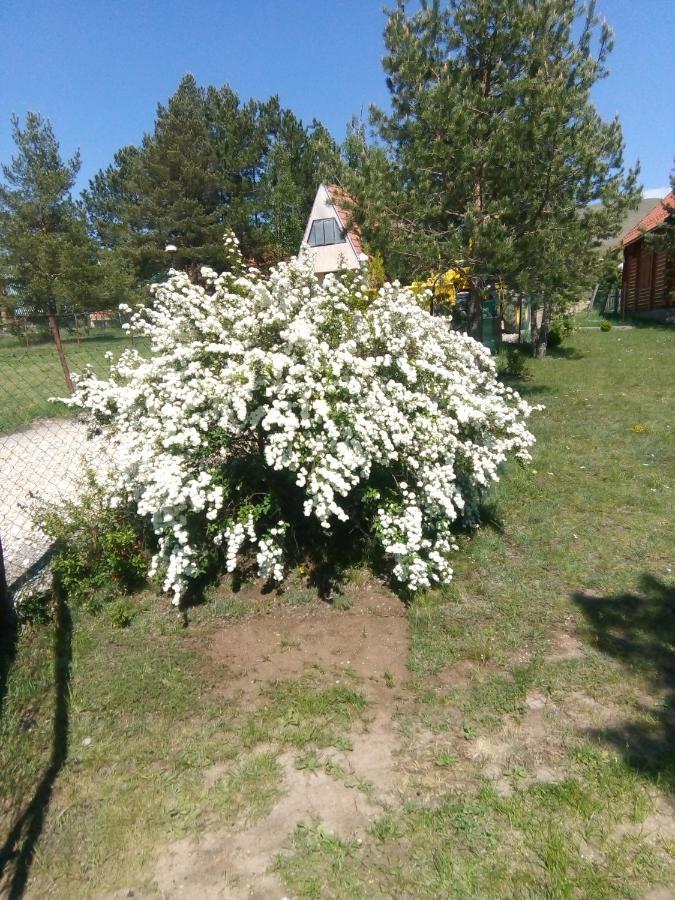 Apartman Marija Zlatibor Eksteriør bilde